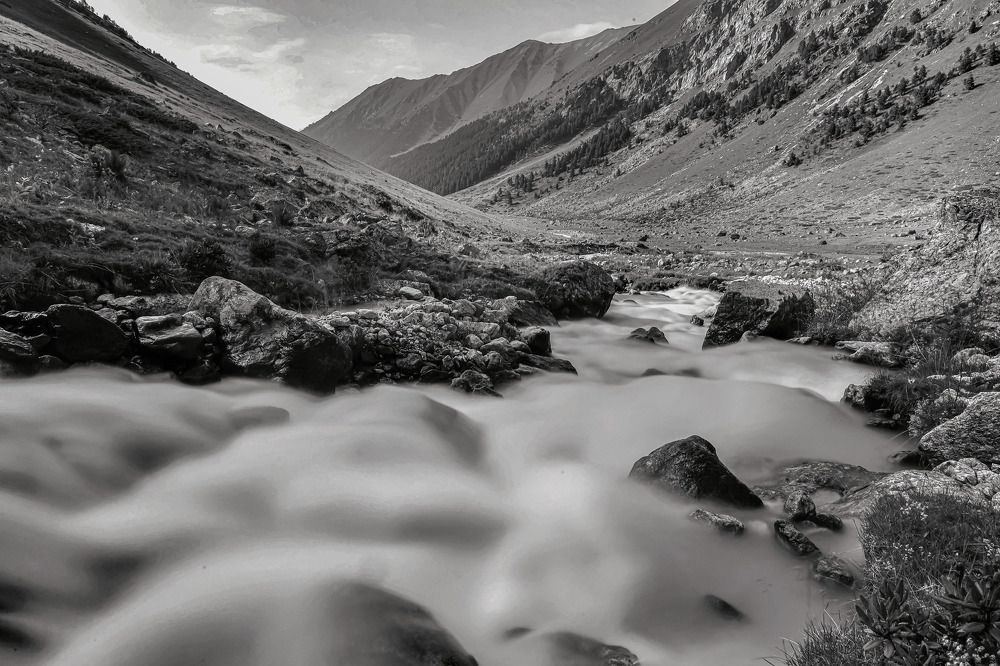 Photograph by Владимир Кульбит