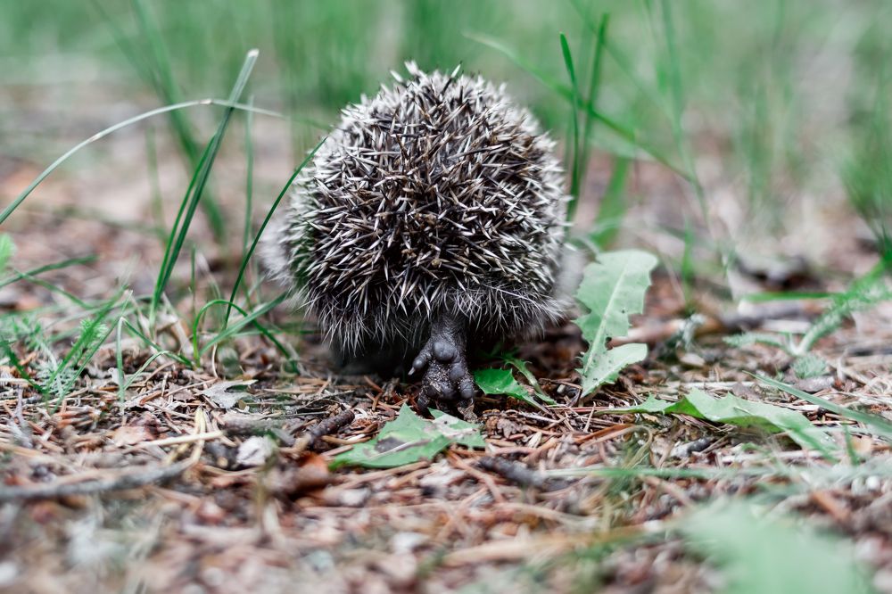 Photograph by Ольга Осинина