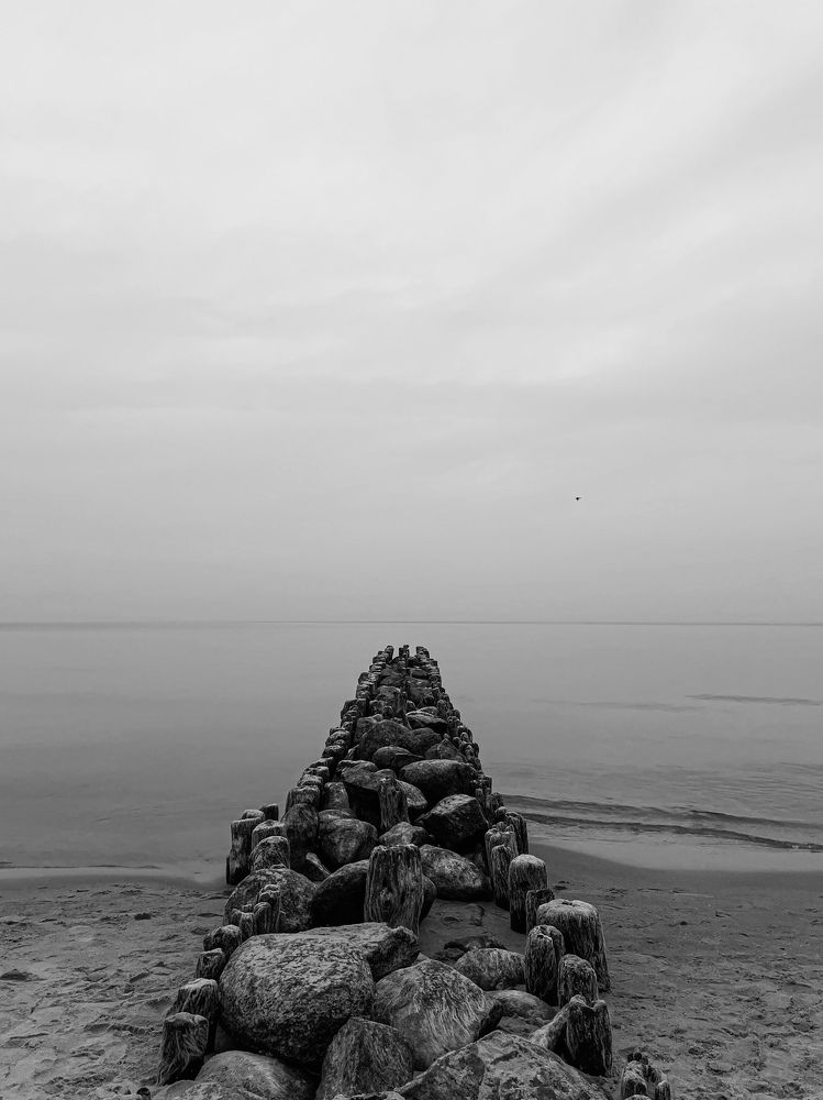 Photograph by Ekaterina