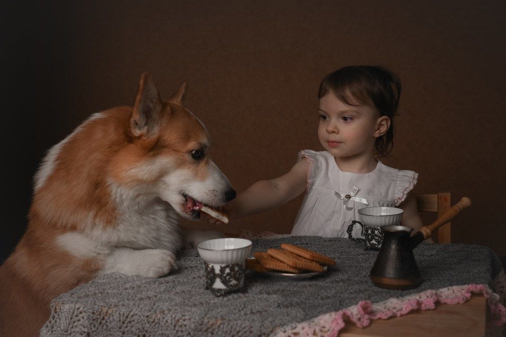 Фотография автора Алена Ковалёва