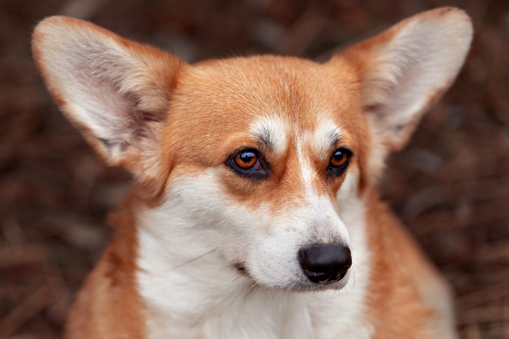 Photograph by Наталья Матюхина