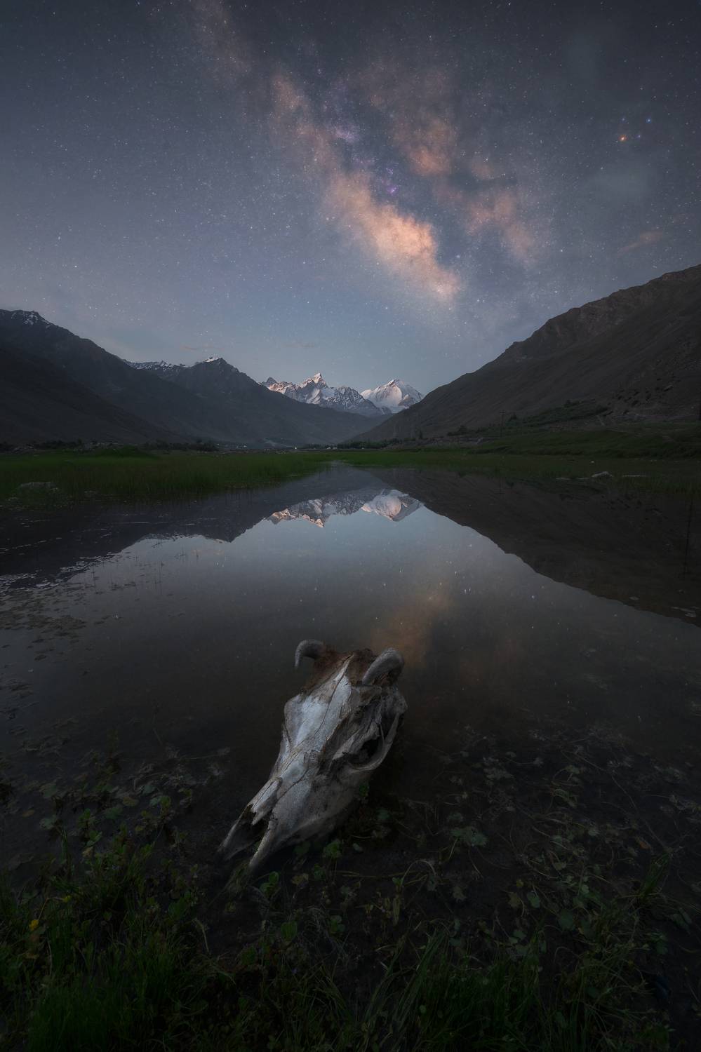 Фотография #11497618