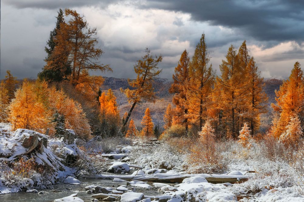 Photograph by Галина Хвостенко