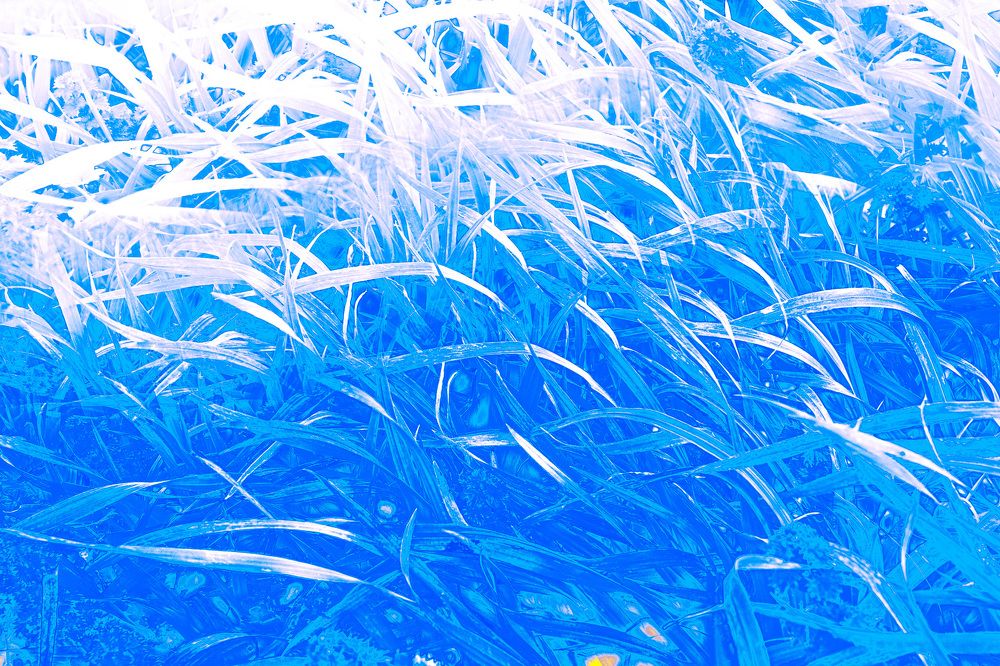 Bound by peace, calm, and tranquility