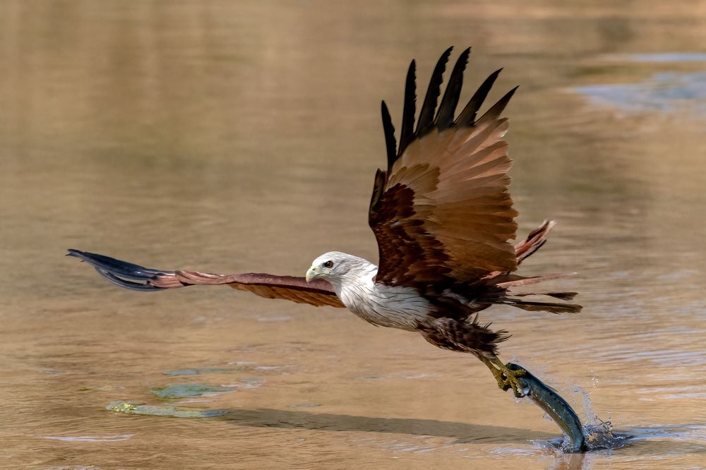Photograph by Sourav Ganguli
