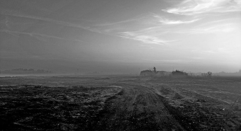 Photograph by Dragan Leles