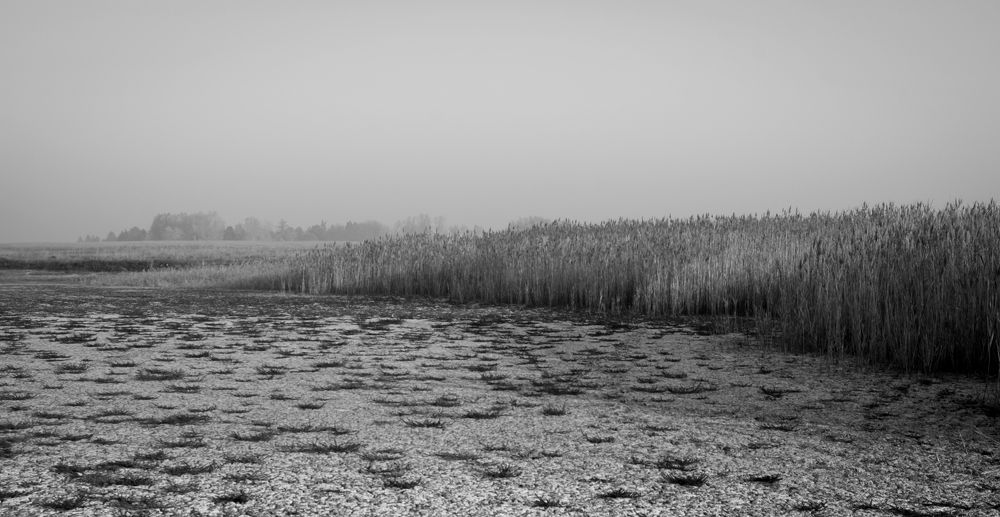 Photograph by Dragan Leles