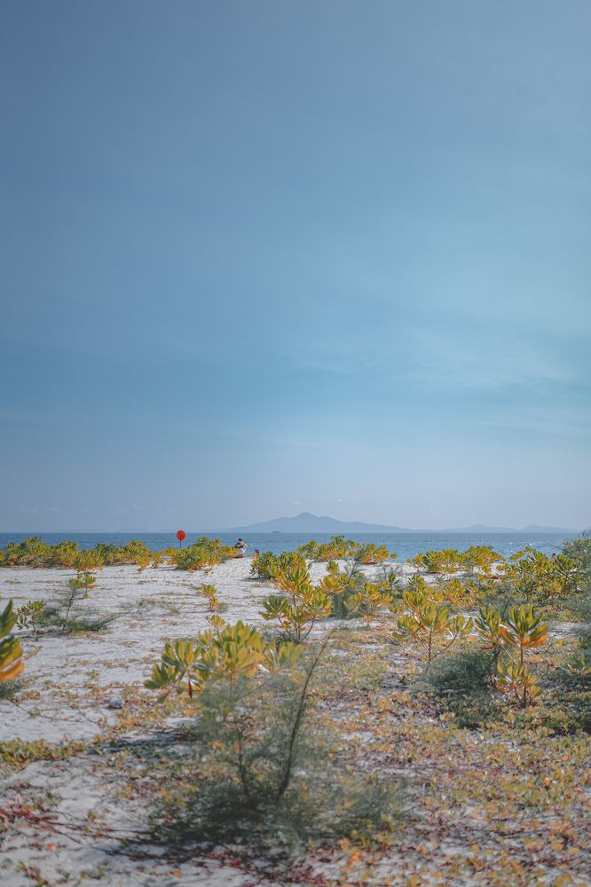 Photograph by Alexey Sapozhnikov