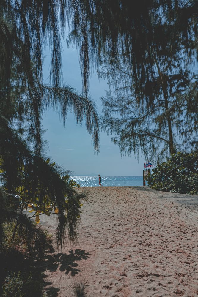 Photograph by Alexey Sapozhnikov