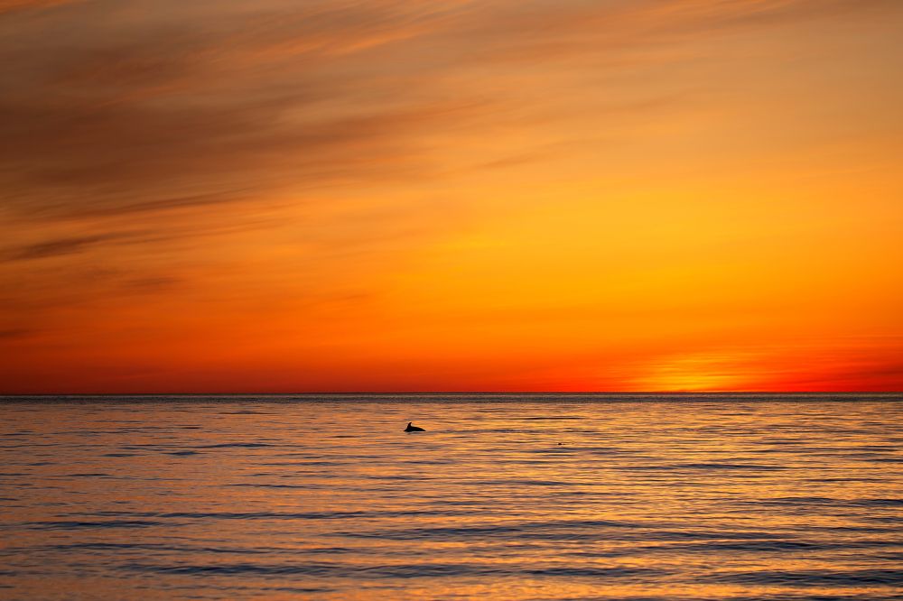 Photograph by Наталья Матюхина