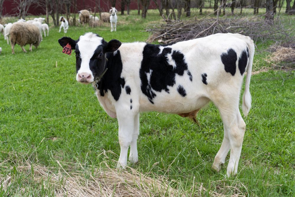 Photograph by Андрей Пучков