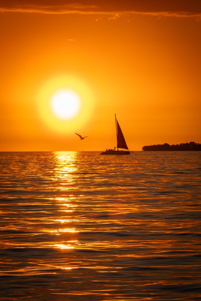 Photograph by Дулова Анастасия