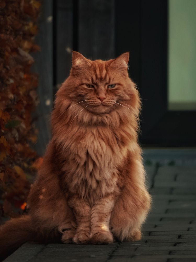 Photograph by Anya Lo