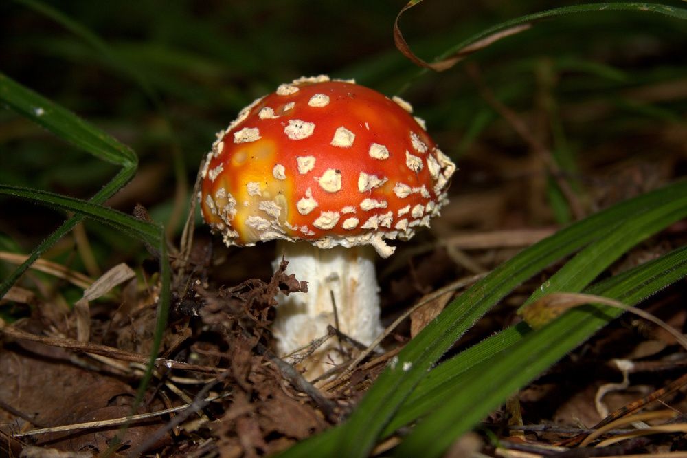 Photograph by Светлана Кравченко