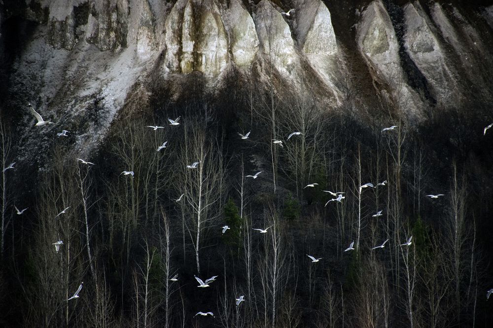 Photograph by Vitaliy Sushkov