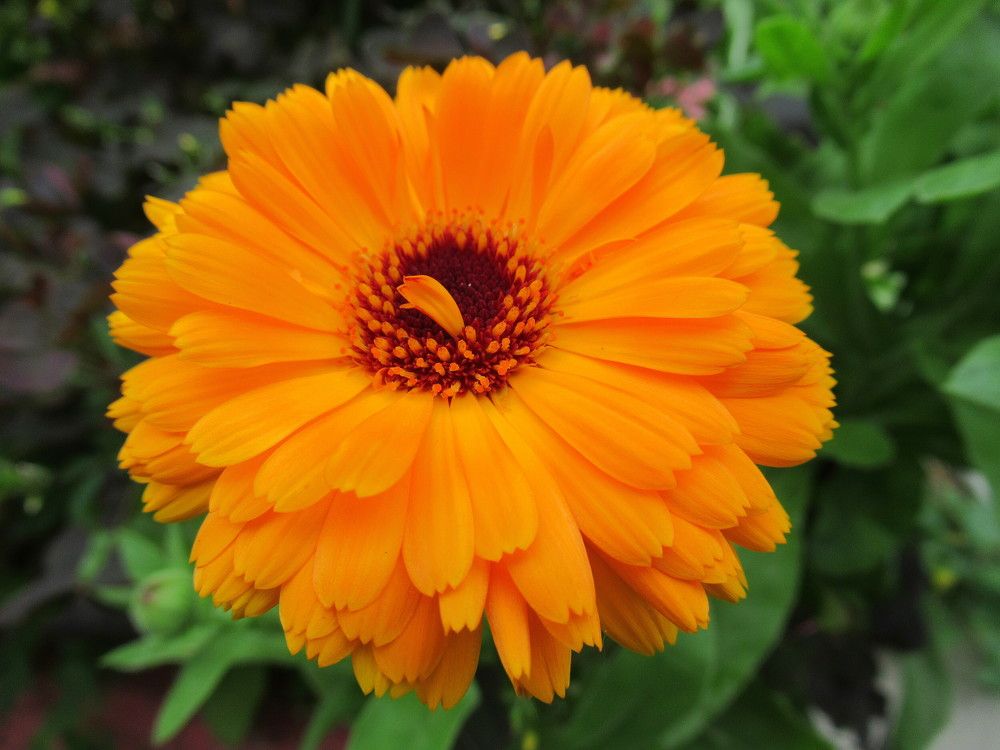 Photograph by Владимир