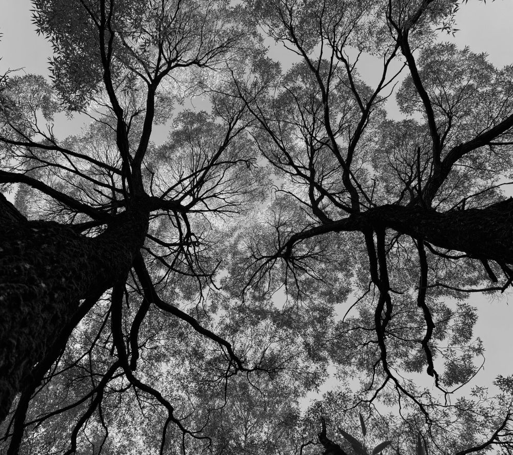 Photograph by Ксения Юртаева