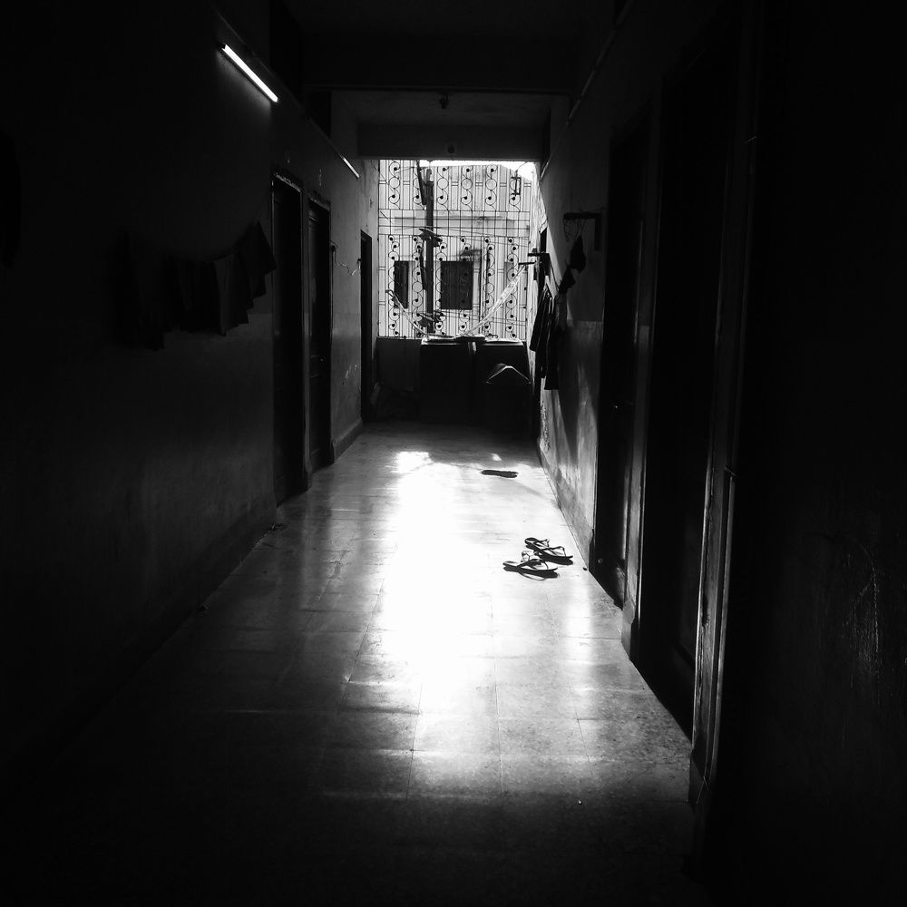 Photo #11497977