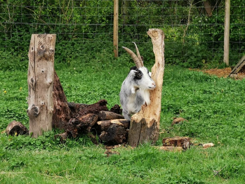 Фотография автора Ian Heard