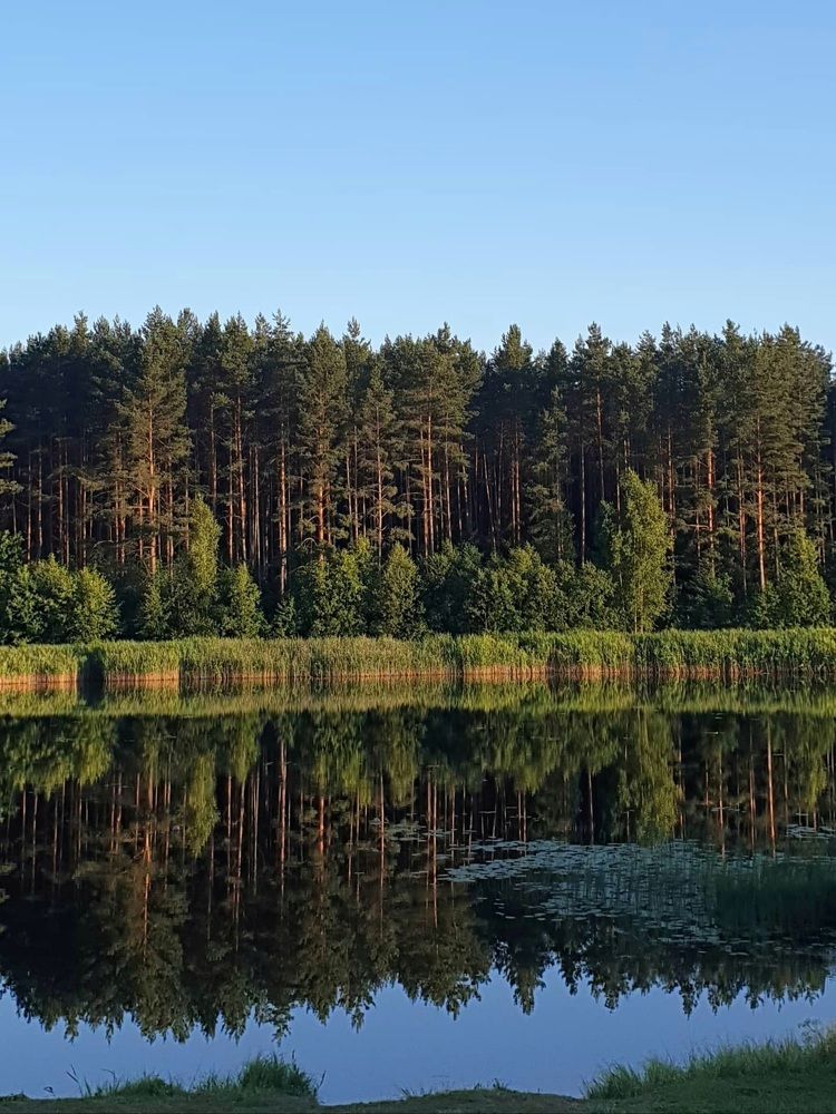 Фотография автора Ирина Дроздова