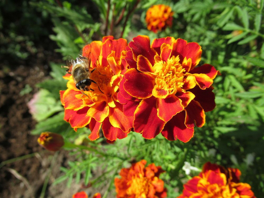 Photograph by Владимир