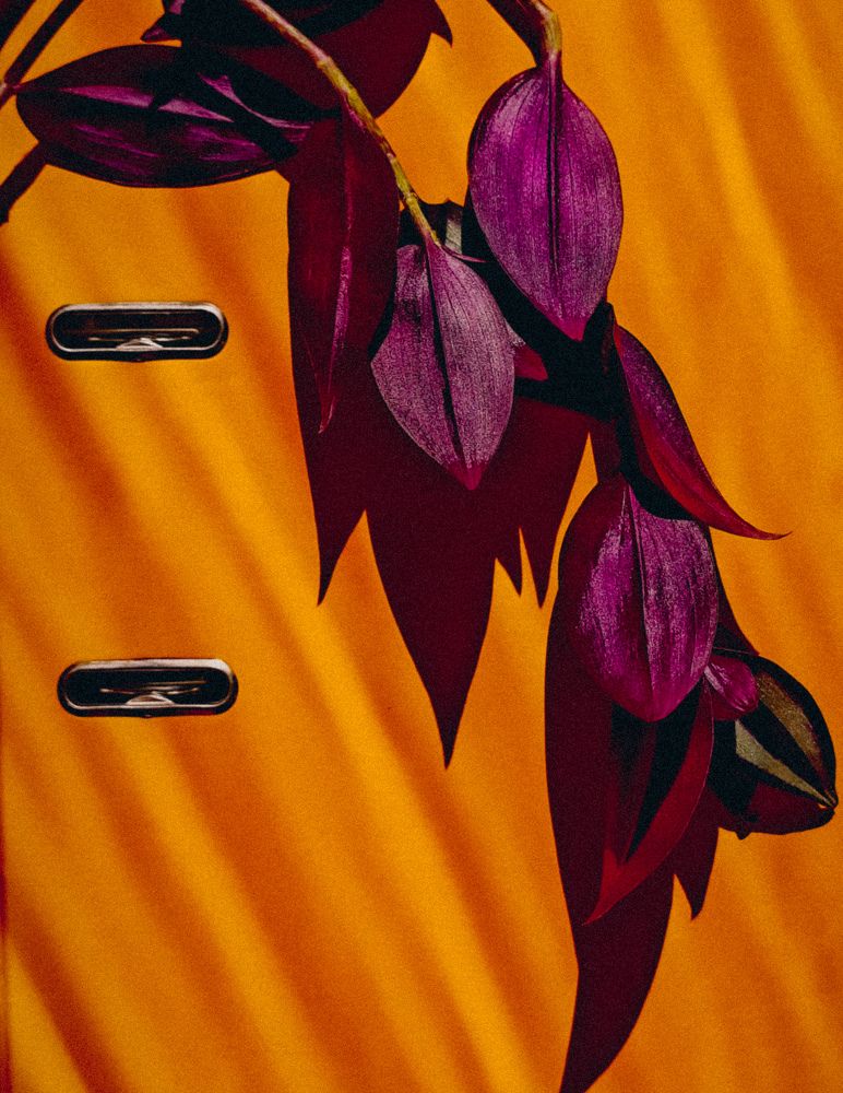 Photograph by Светлана Фоменко