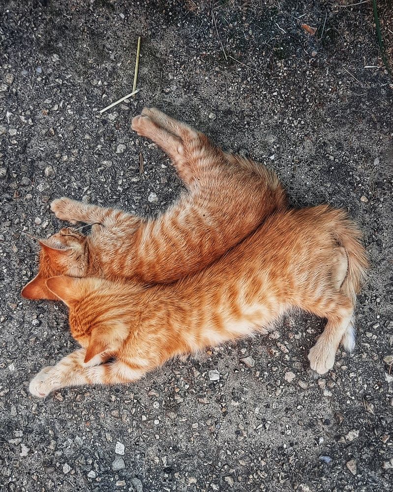 Photograph by Светлана Моисеева