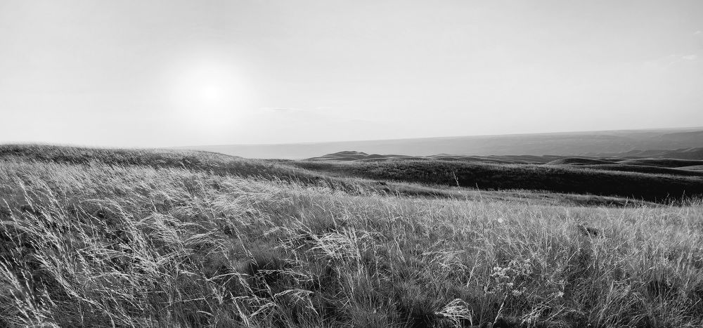 Photograph by Tatiana Denisova