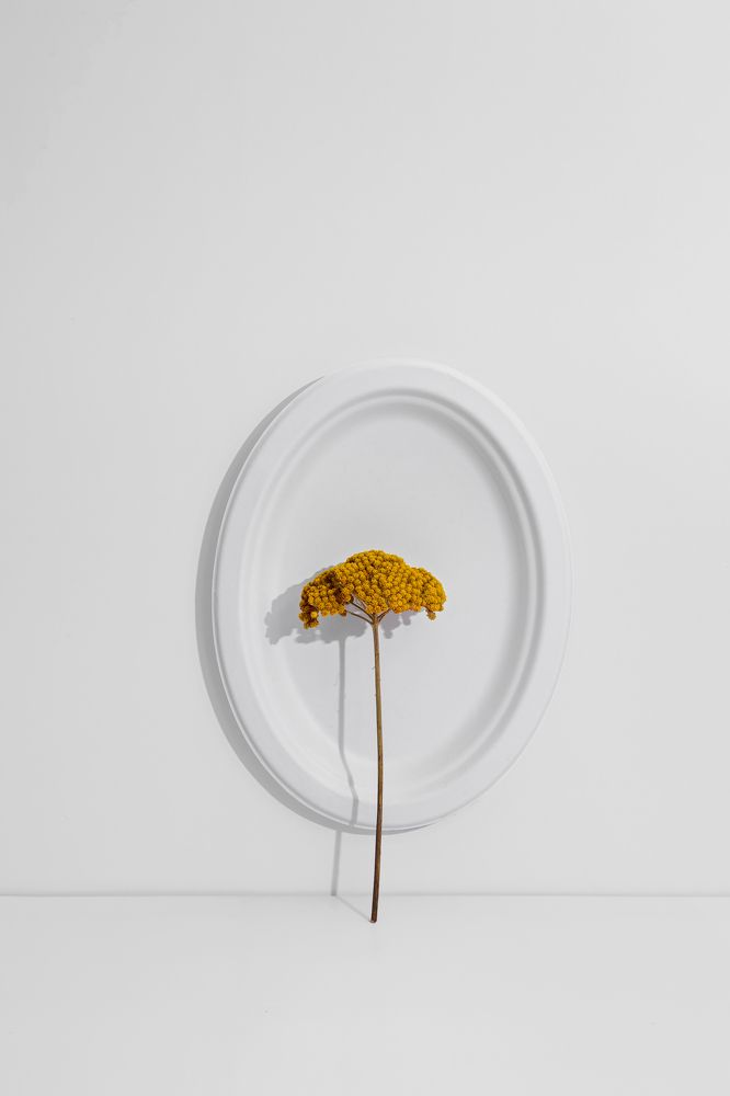 Photograph by Cristina Perciuleac