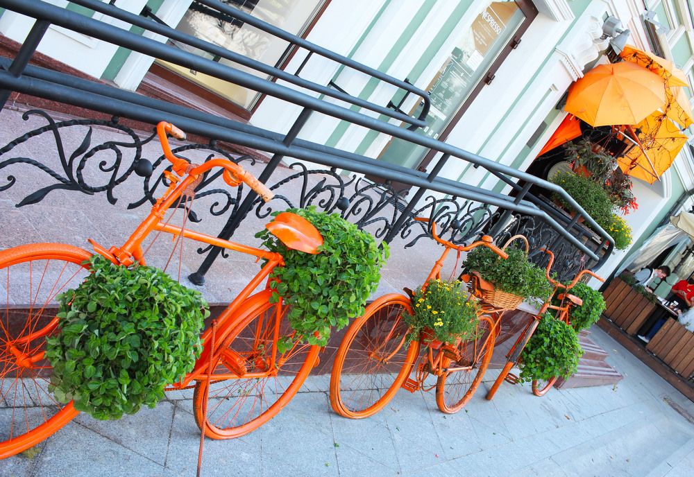 Photograph by владимир Заворотный