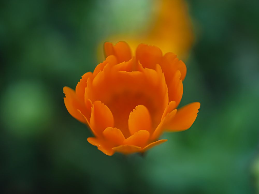 Photograph by Виталий Шмачко