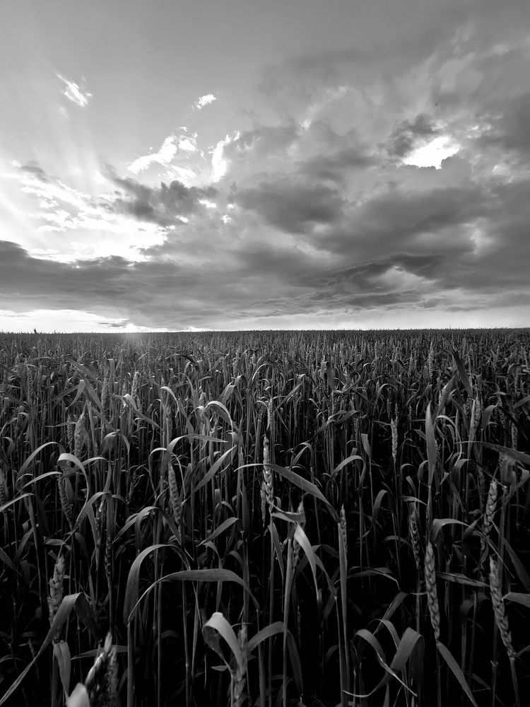 Photograph by Анастасия Доронкина