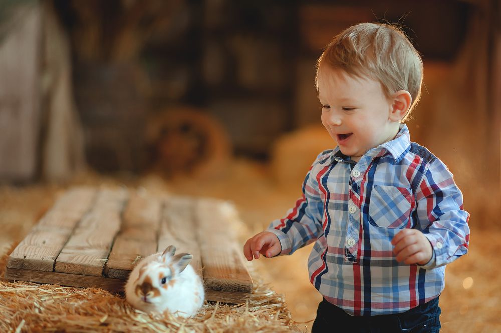 Photograph by Наталья Смышляева