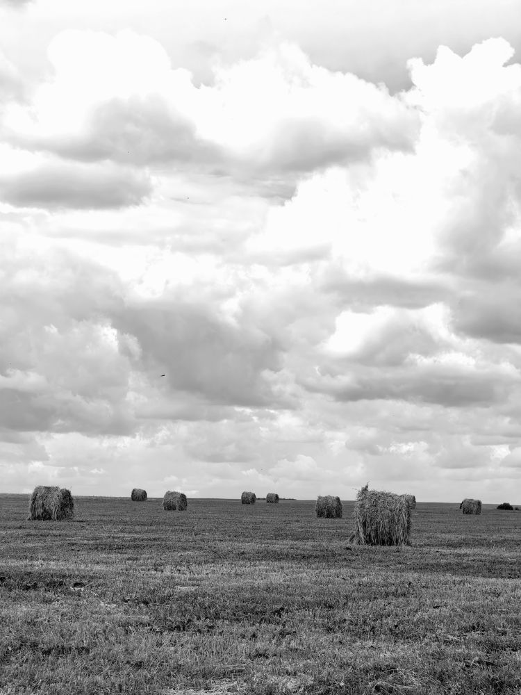 Photograph by Анастасия Доронкина