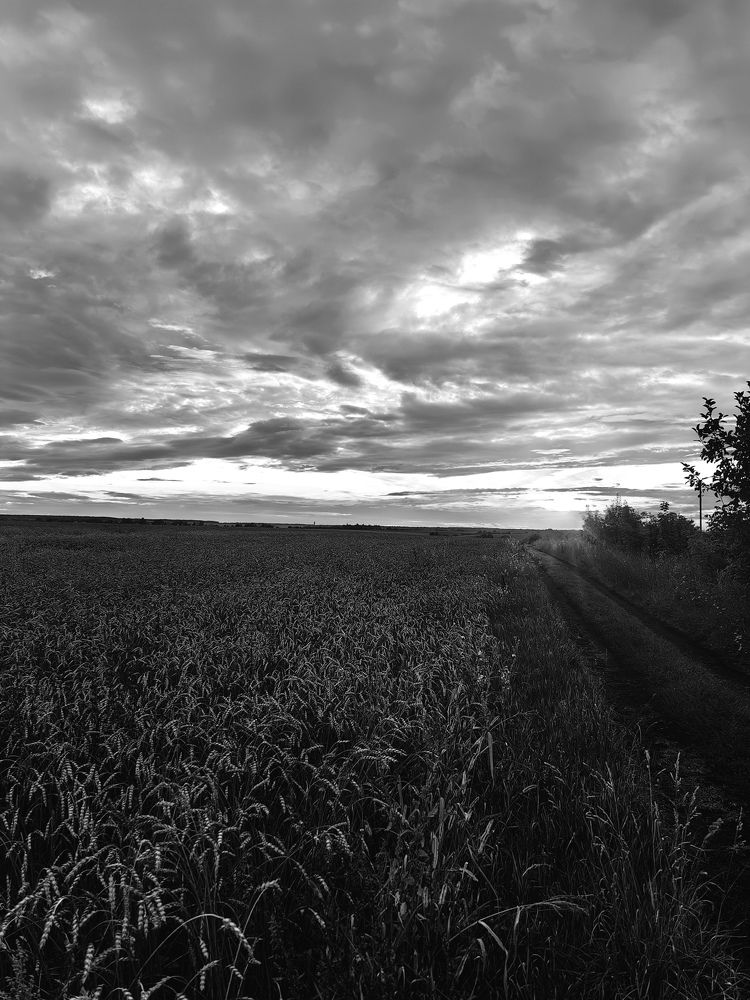 Photograph by Анастасия Доронкина