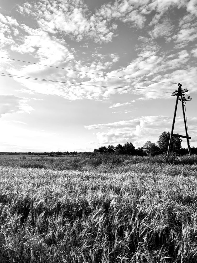 Photograph by Анастасия Доронкина