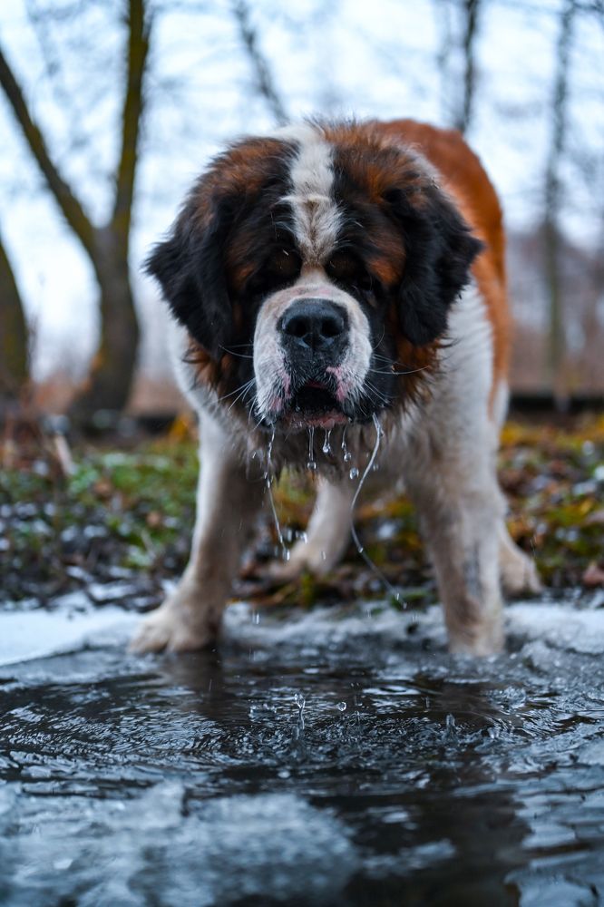 Photograph by Алексей