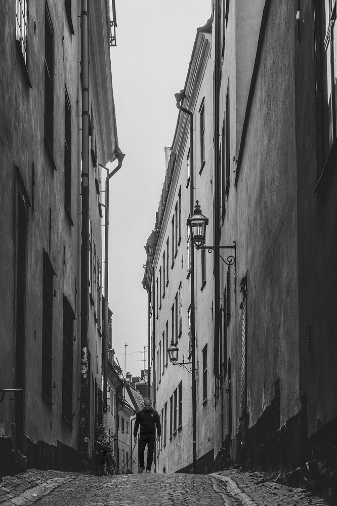 Photograph by Renee Johansson