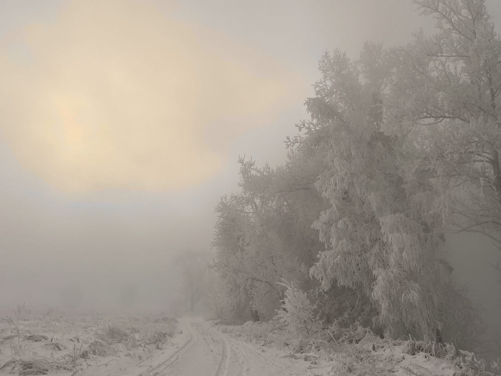 Photograph by Светлана Петренко