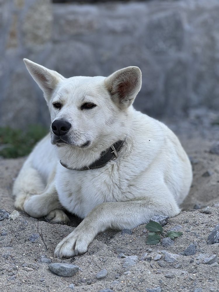 Photograph by Ксения Юртаева