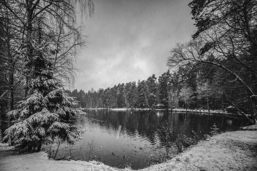 Photograph by Александр Журавлев