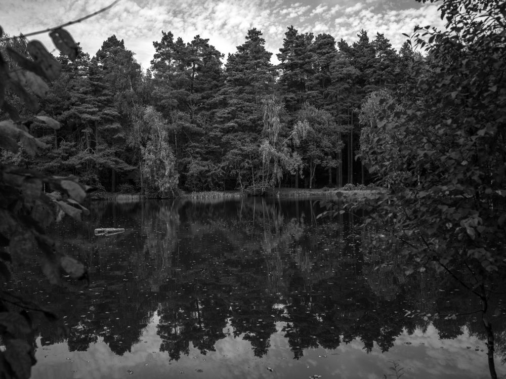 Photograph by Александр Журавлев