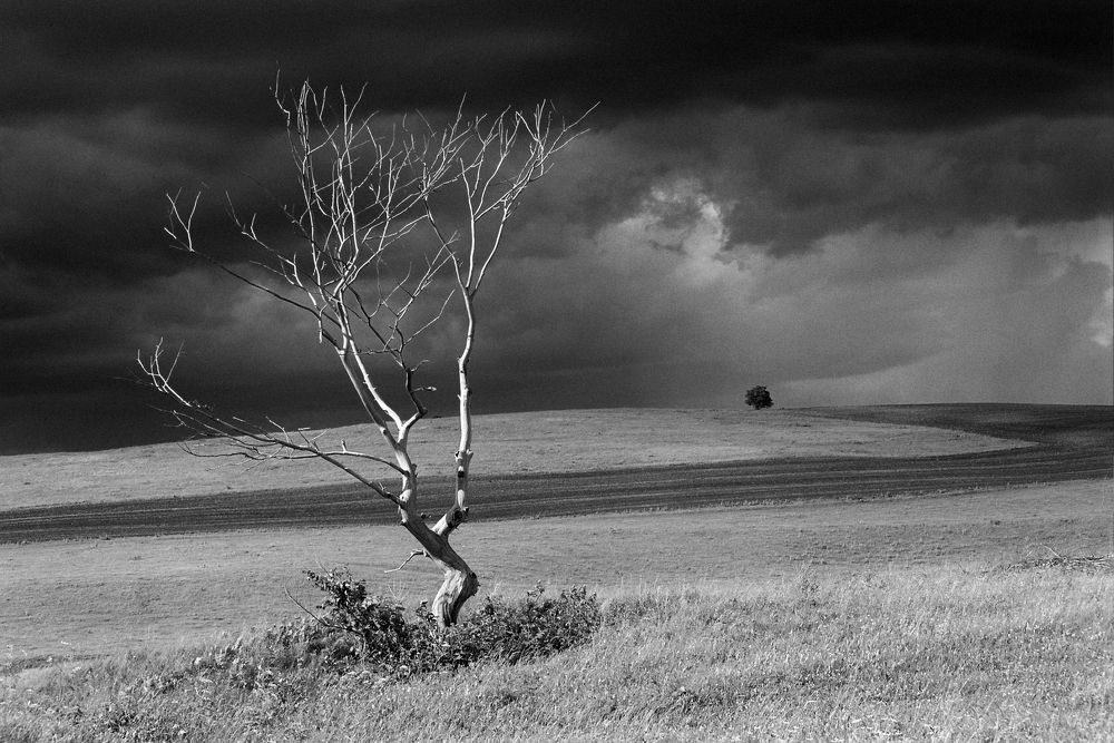 Photograph by Алик Хасанов