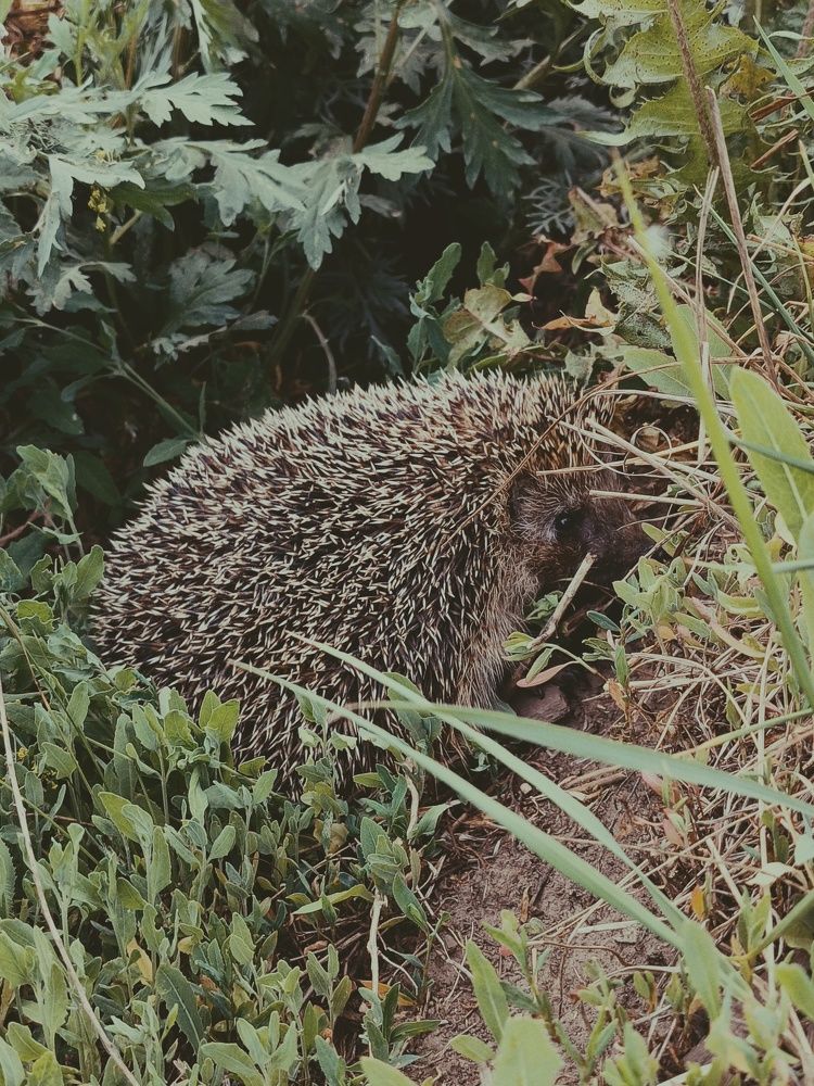 Photograph by Алия Латыйпова