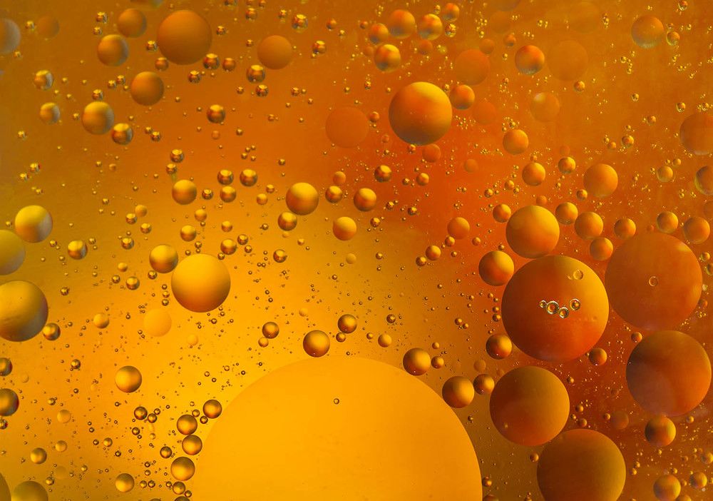 Photograph by Солодар Виктория