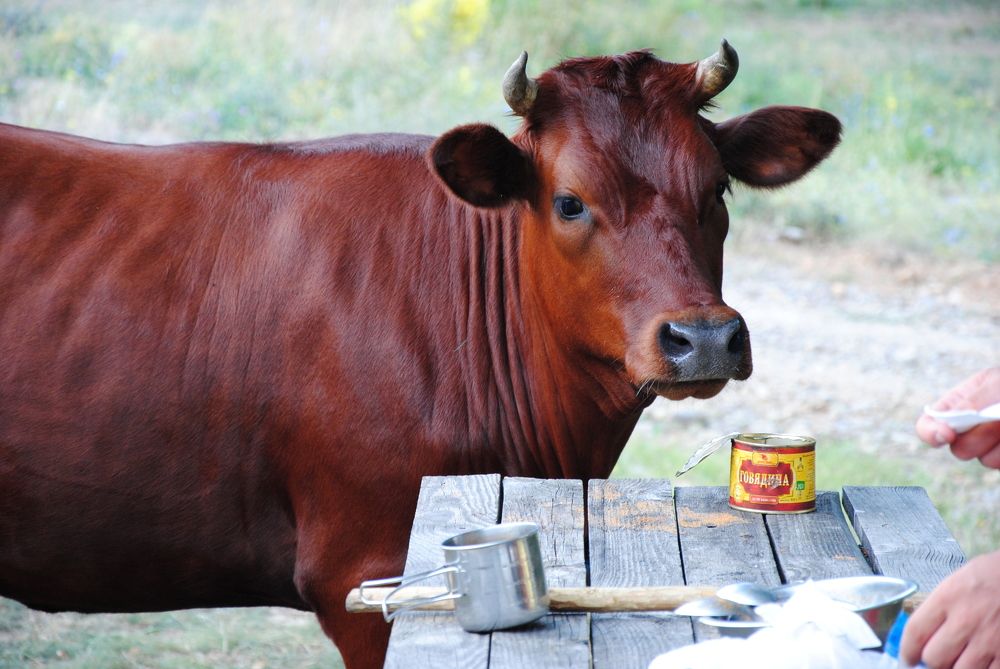 Photograph by Ольга Козлова