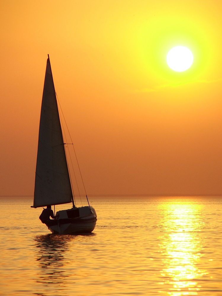 Photograph by Алексей Окунеев