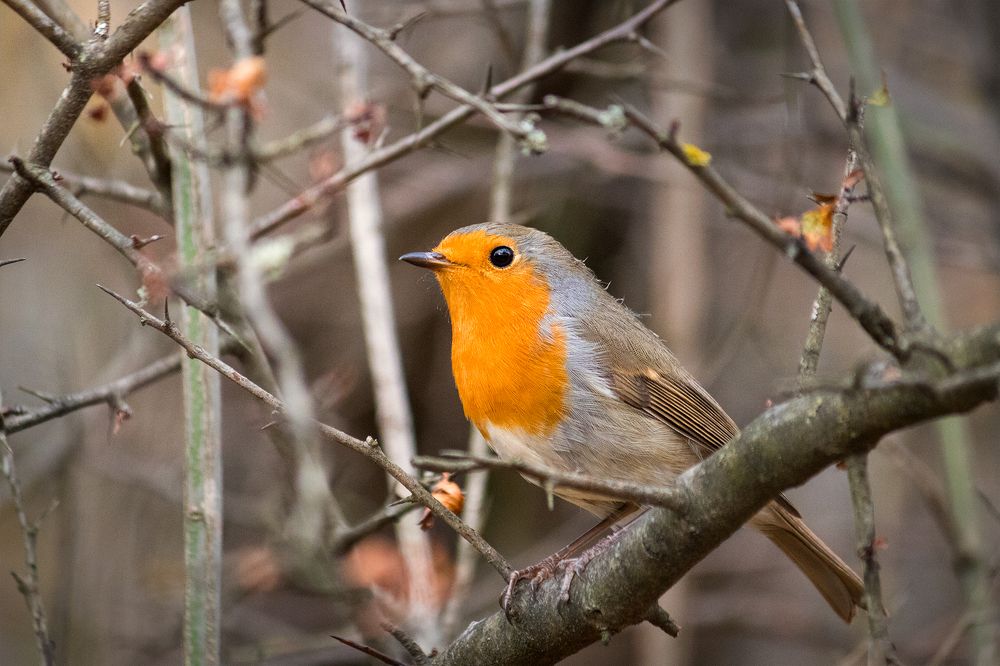 Photograph by Vania Tonova