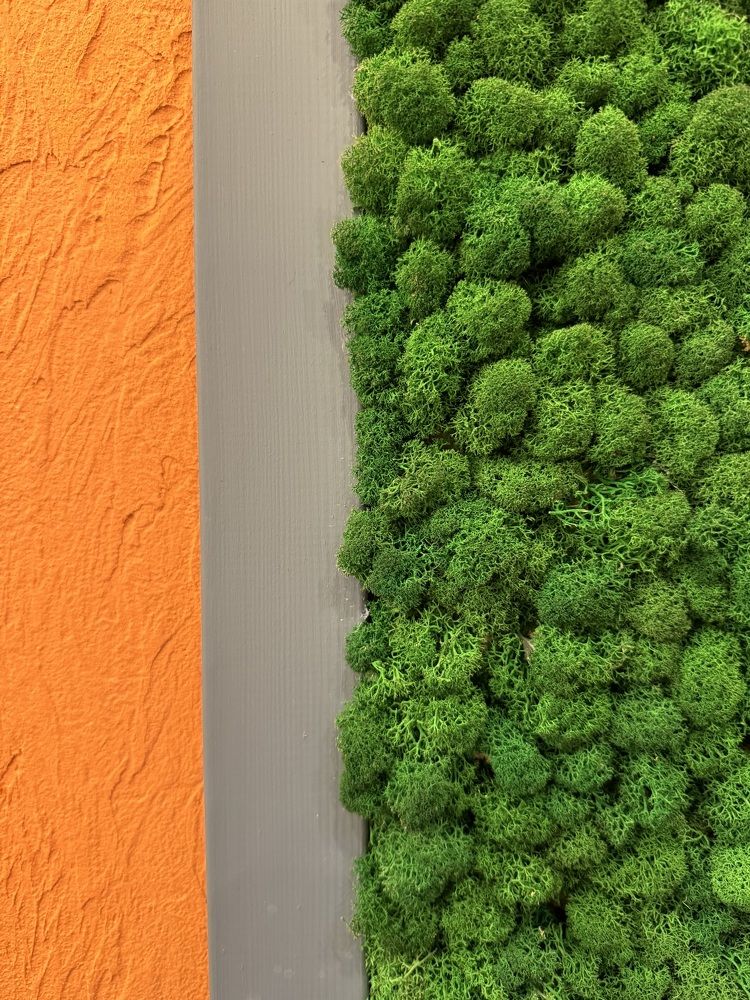 Photograph by Zhanna Kolesnikova