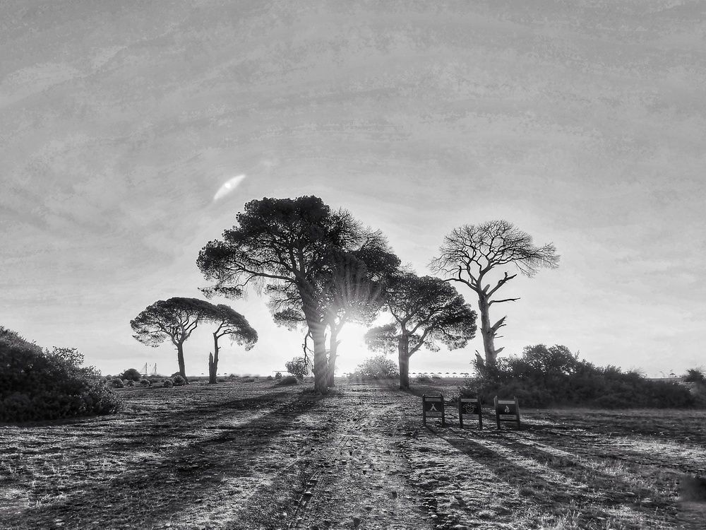 Photograph by Дьяченко Алёна